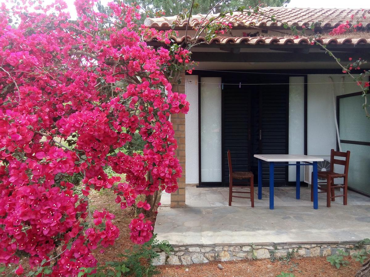 Hotel Dougas Arkoudi Bagian luar foto