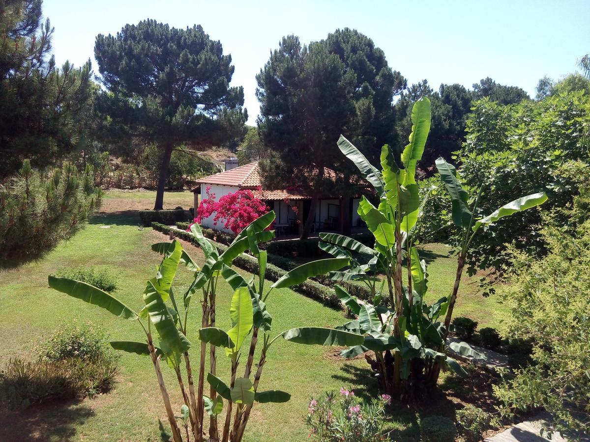 Hotel Dougas Arkoudi Bagian luar foto